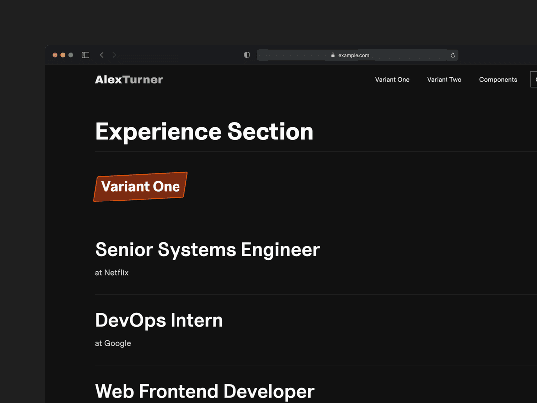 An experience timeline section displaying career milestones and achievements