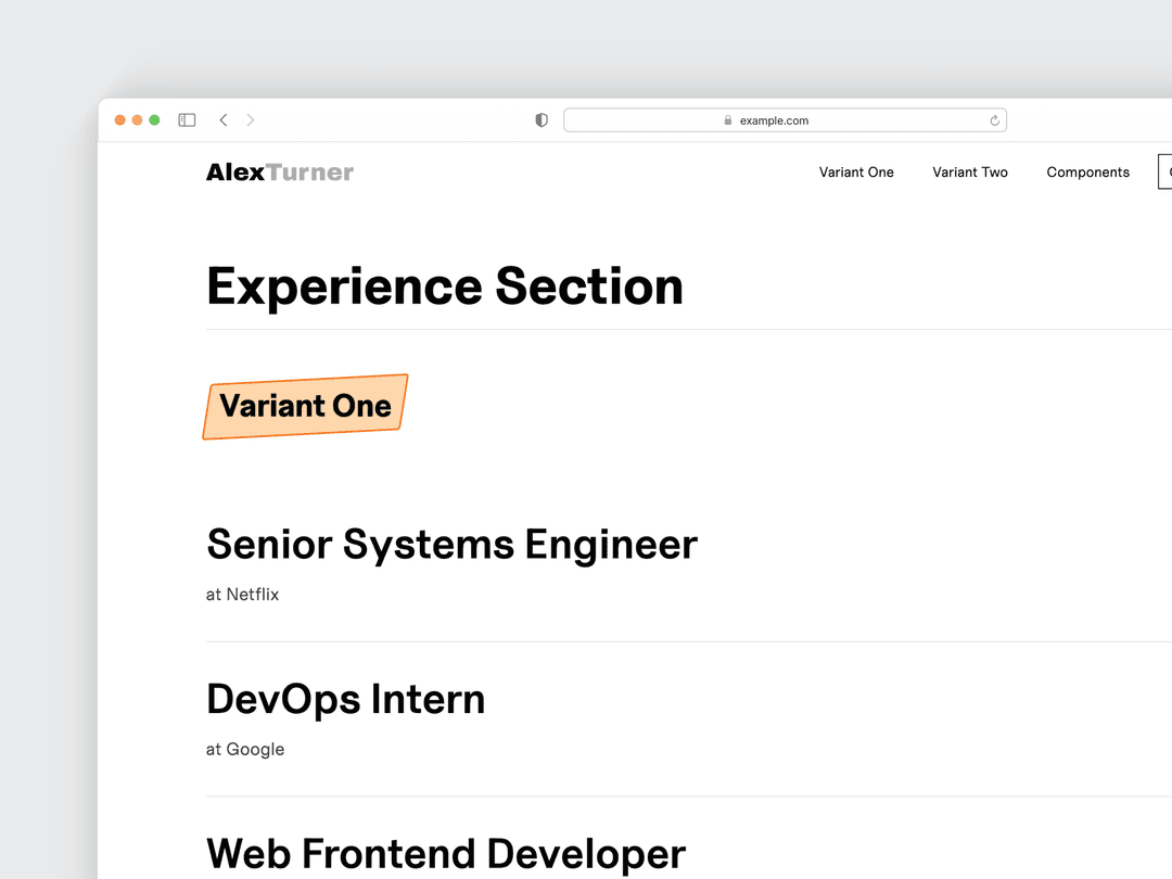 An experience timeline section displaying career milestones and achievements